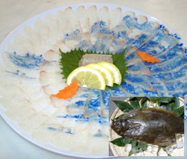 ヒラメ