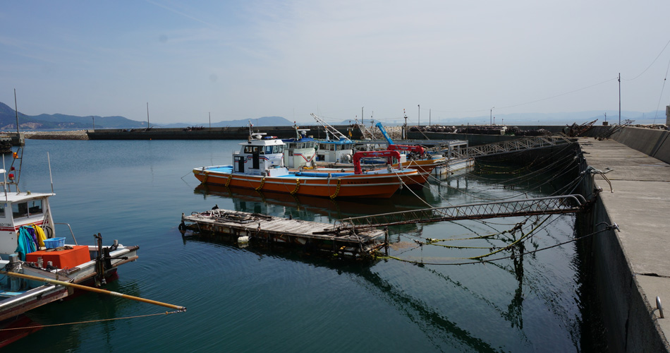 倉本水産 新鮮な活魚鮮魚を産地直送　トラフグ ヒラメ マナガツオ